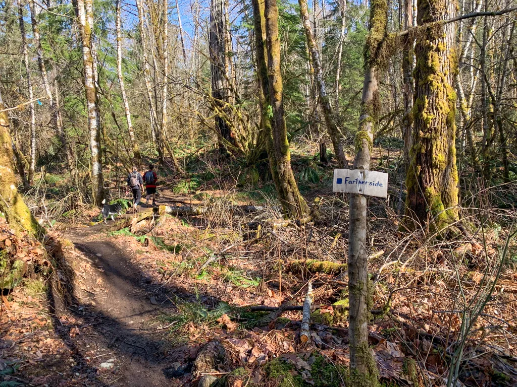 Start of the Fartherside Trail in Crumpit Woods