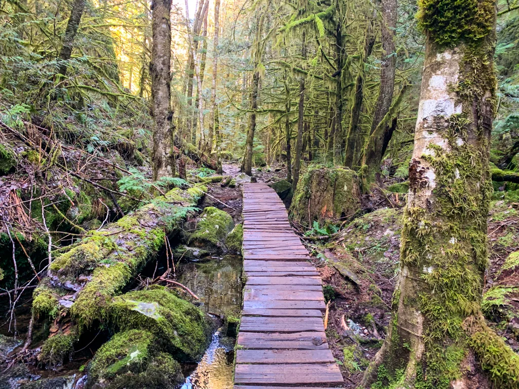 Boardwalk over Little Stawamus Creek on the S+M Connector Trail 