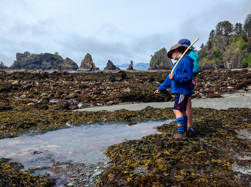 Kids looking at a tide pool at Shi Shi Beach in Olympic National Park