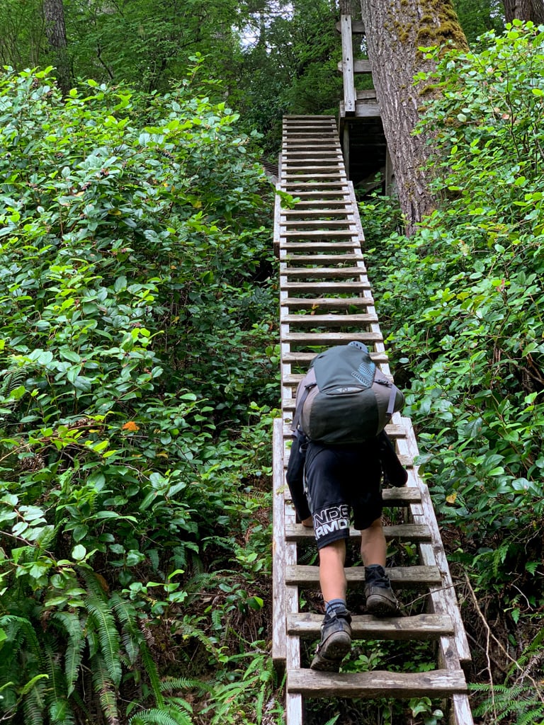A boy with a backpack climbs a ladder on the West Coast Trail
