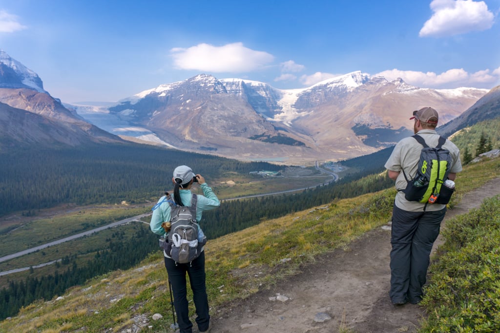 View from the Wilcox Pass Trail in Jasper National Park