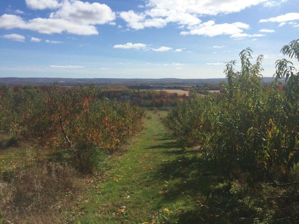 Apple picking in Wolfville, Nova Scotia, one of the best small towns in Canada for outdoor adventure