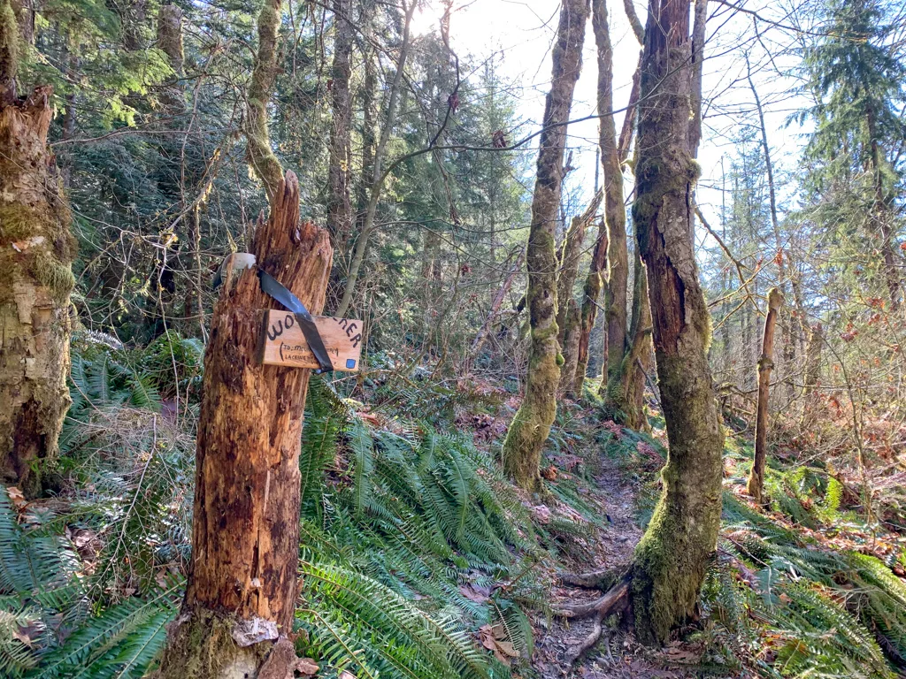Start of the Woodpecker Trail on the way to Mount Crumpit in Squamish