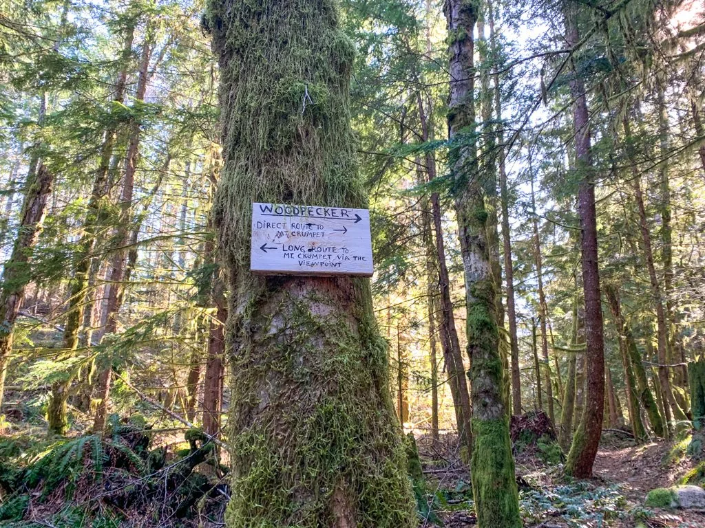 Sign on the Woodpecker Trail in Squamish