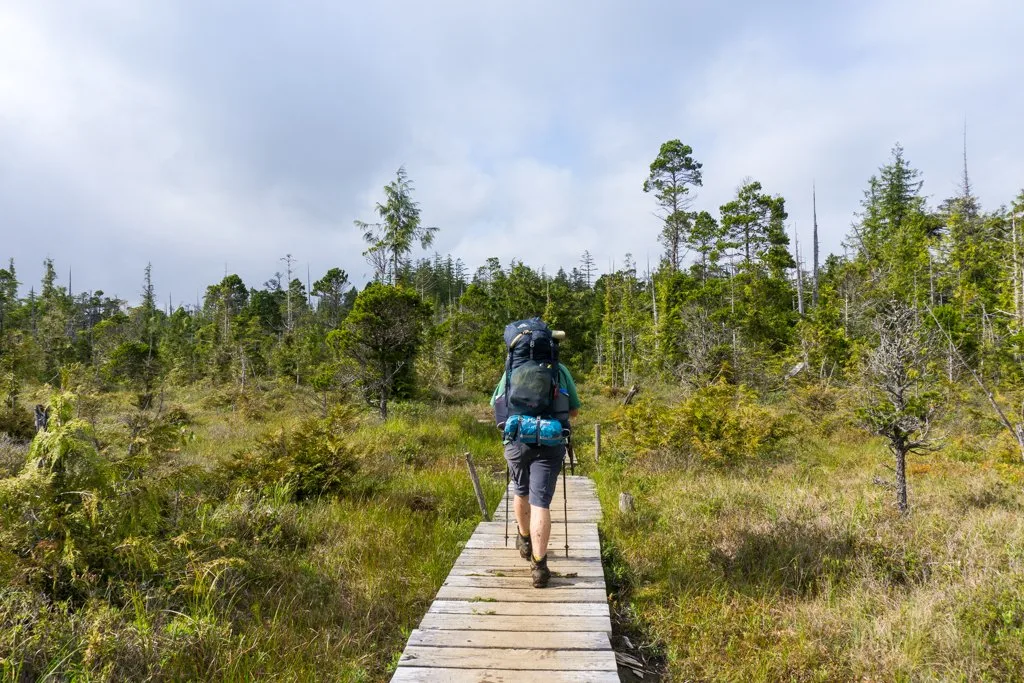 HILL WALKING - Definition and synonyms of hill walking in the English  dictionary