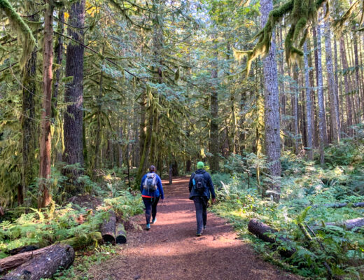 Two hikers wearing backpacks walk on a wide trail through a mossy forest in Squamish, BC