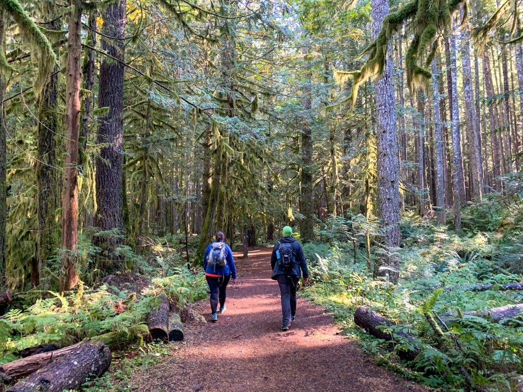 The Best Hikes in Squamish, BC (From a Local)