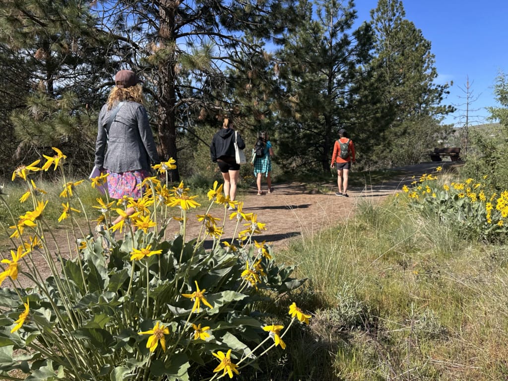 A group walks past flowers in Kalamalka Lake Provincial Park in Vernon during an Indigenous walking tour