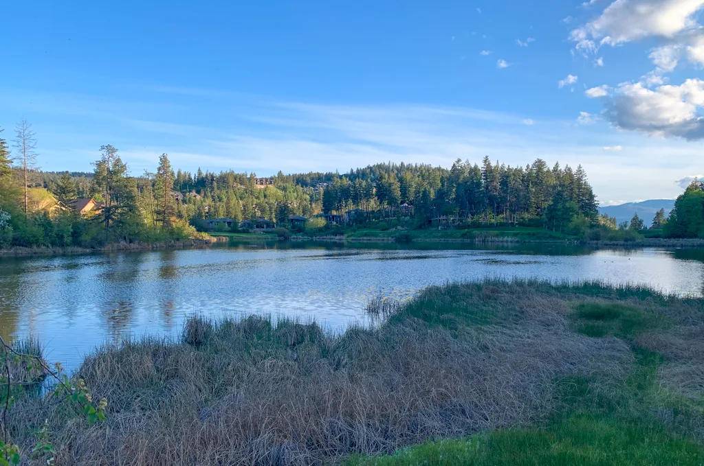 Birdie Lake at Predator Ridge