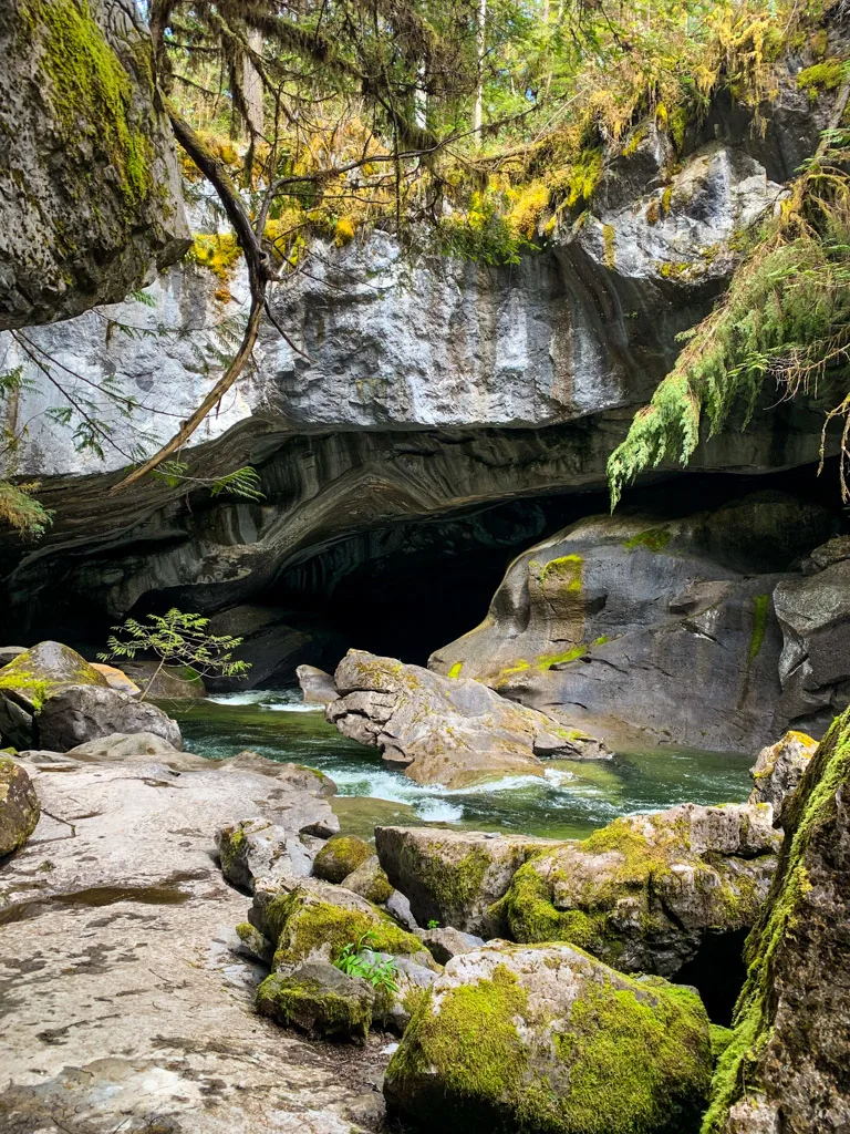 Forest and moss surrounds the entrance to Little Huson Cave.