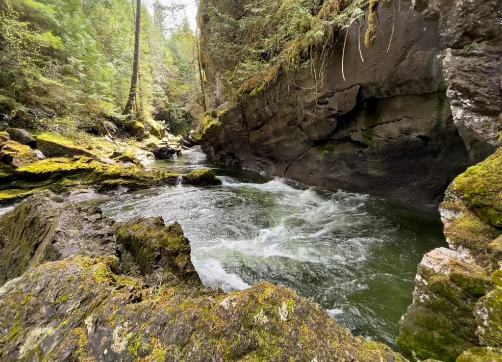 Roiling waters in Atluck Creek