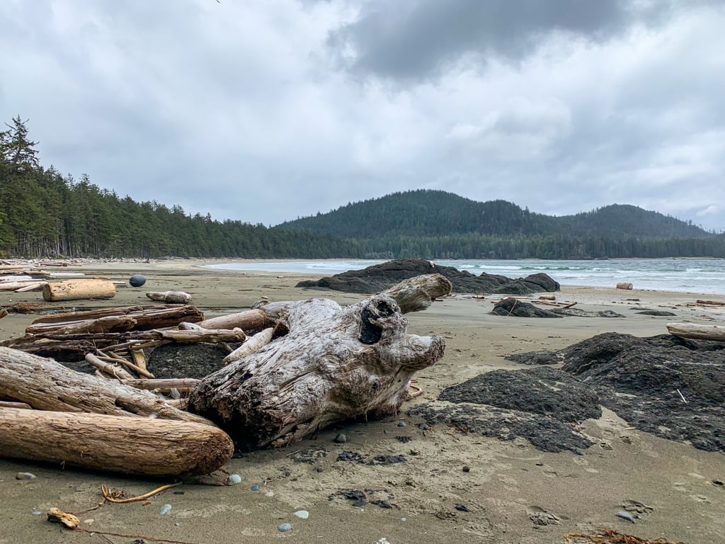 Logs on the beach at Raft Cove Provincial Park on Northern Vancouver Island