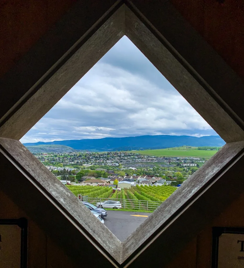 The view from Davison Orchards