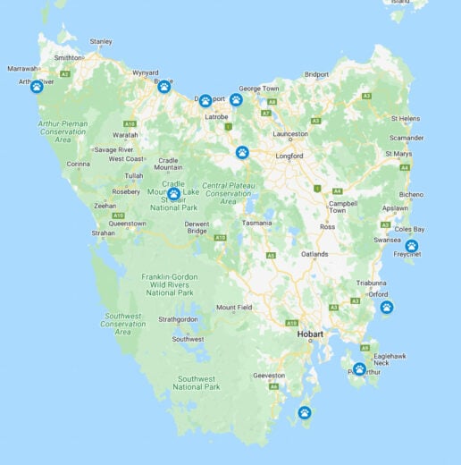 Best Places to See Wildlife in Tasmania