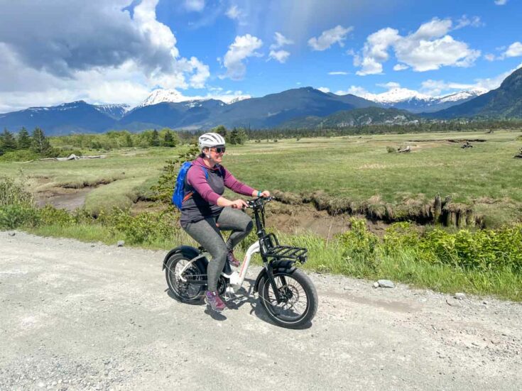 Rad Power Radmini Step Thru Electric Bike Review