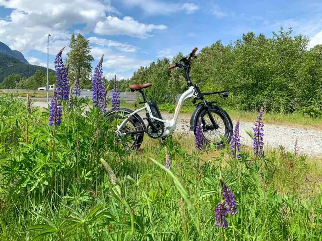 Rad Power RadMini Step-Thru electric bike in a field of wild flowers