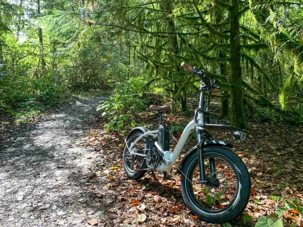 Rad Power RadMini Step-Thru bike on a narrow trail