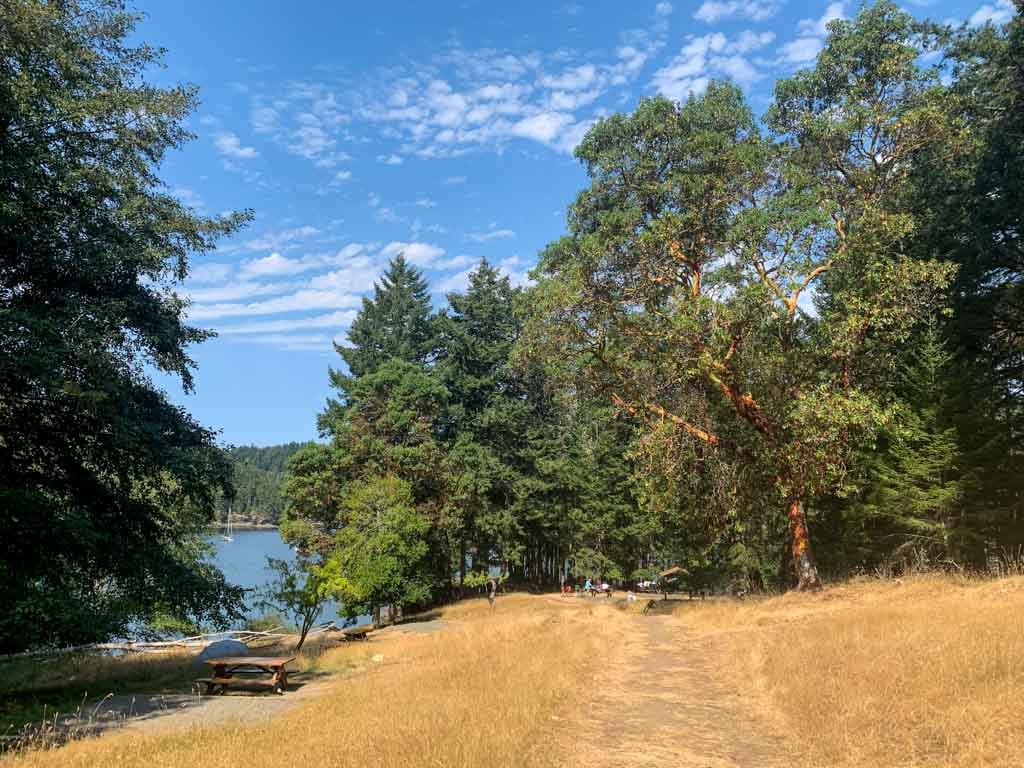 The campground at Narvaez Bay on Saturna Island in Gulf Islands National Park Reserve