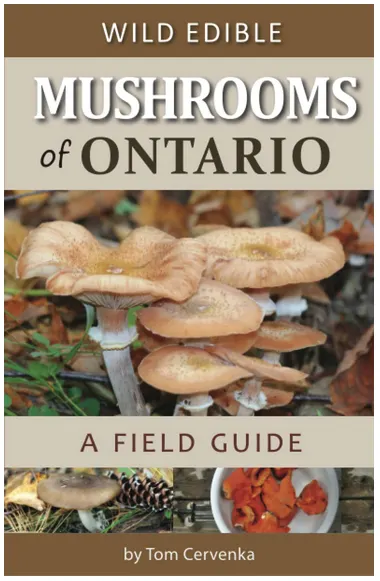 Book cover for Wild Edible Mushrooms of Ontario by Tom Cervenka
