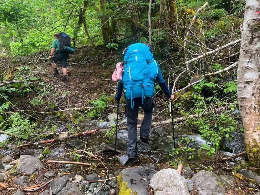 A hiker wades across a creek and over a fallen tree