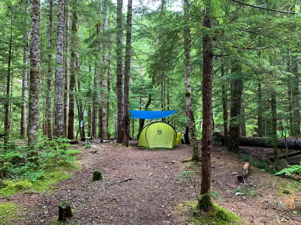 A tent at Margaret Creek Campground on the way to Della Falls