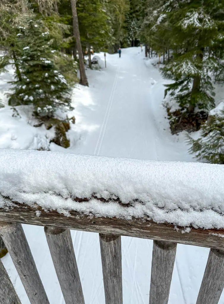 Ski trail beneath a bridge in Lost Lake Park in Whistler