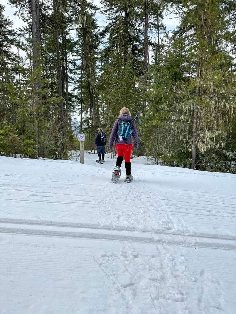 A snowshoer crosses a cross country ski trail