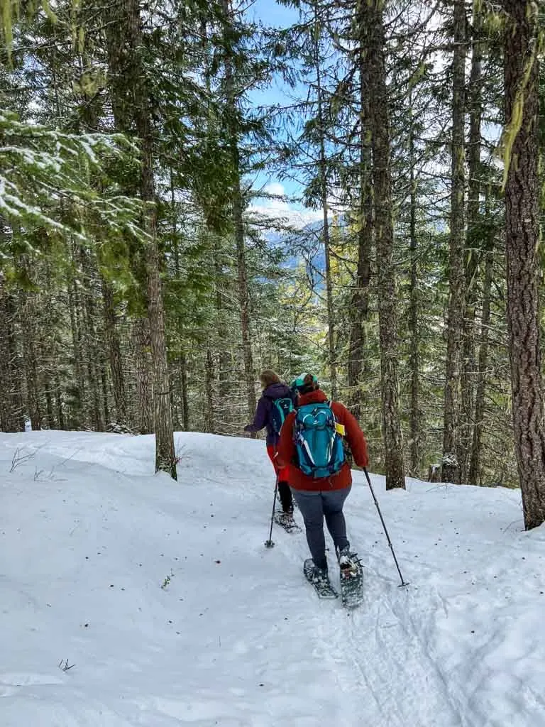 Two women snowshoeing in the forest in Whistler
