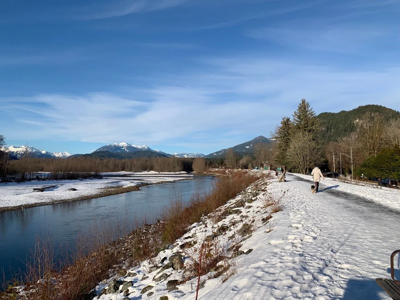 Eagle Run Dyke in Brackendale in winter