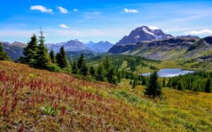 Mountains near Egypt Lake in Banff National Park