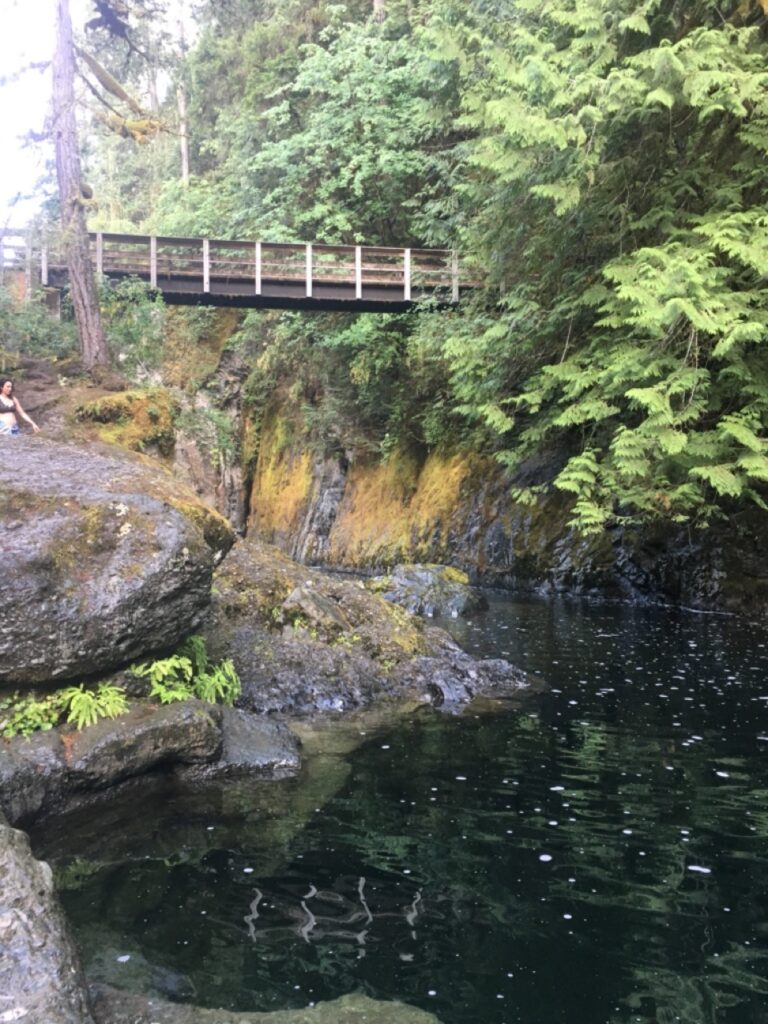 The swimming hole at Englishman River Falls Provincial Park
