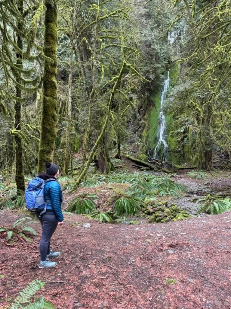 A hiker in front of a waterfall at Goldstream Provincial Park