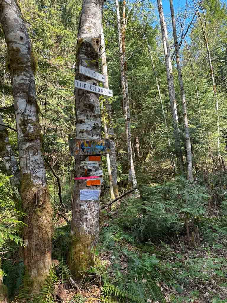Signs at the junction with the Lions Trail