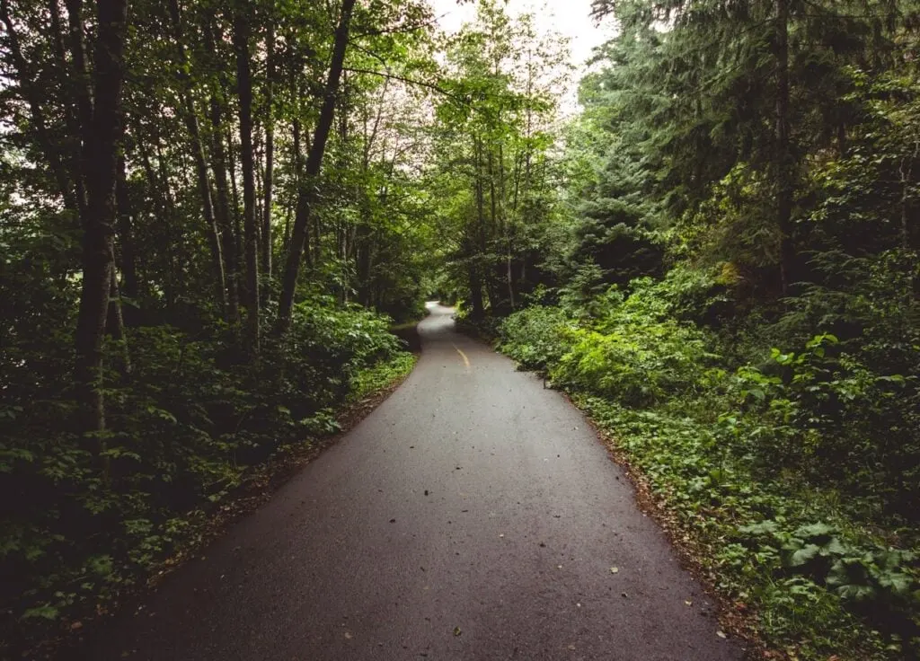 Whistler Valley Trail