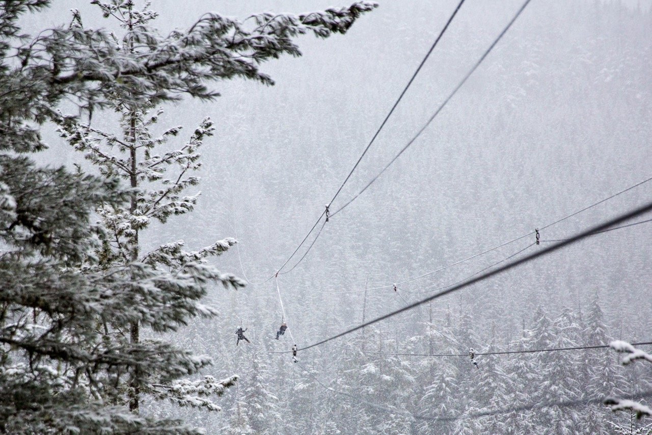 Ziplining in winter in Whistler