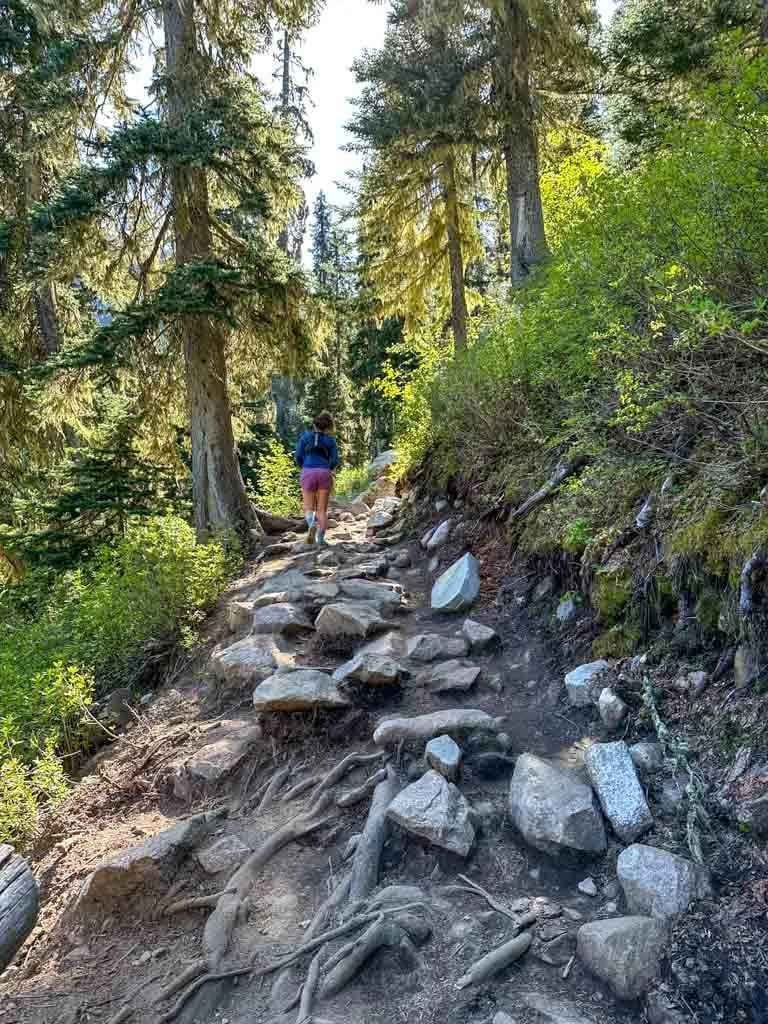 The rocky trail between Lower and Middle Joffre Lakes
