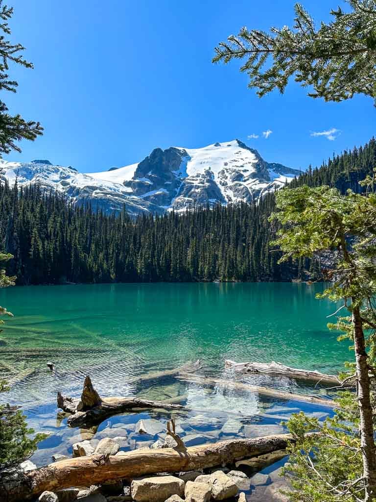 Middle Joffre Lake with logs and rocks in the water and a snowy mountain behind