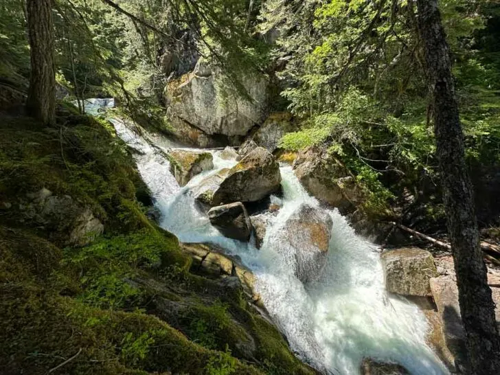 Rainbow Falls Loop Trail in Whistler