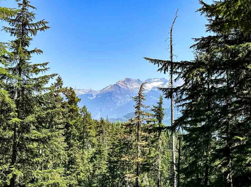 Looking across to Blackcomb Peak from the Rainbow Falls Trail