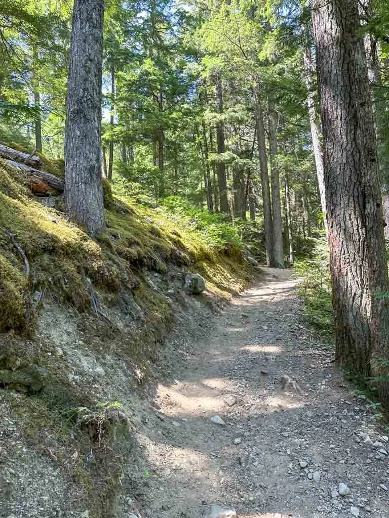 Trail to Rainbow Falls in Whistler