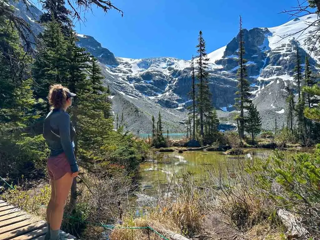 A hiker looks at mountains with a marsh in the background