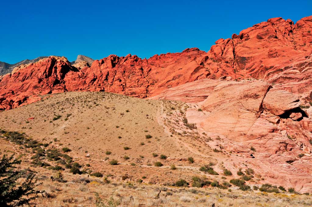 Calico Hills Trail in Red Rock Canyon, one of the best outdoor activities near Las Vegas