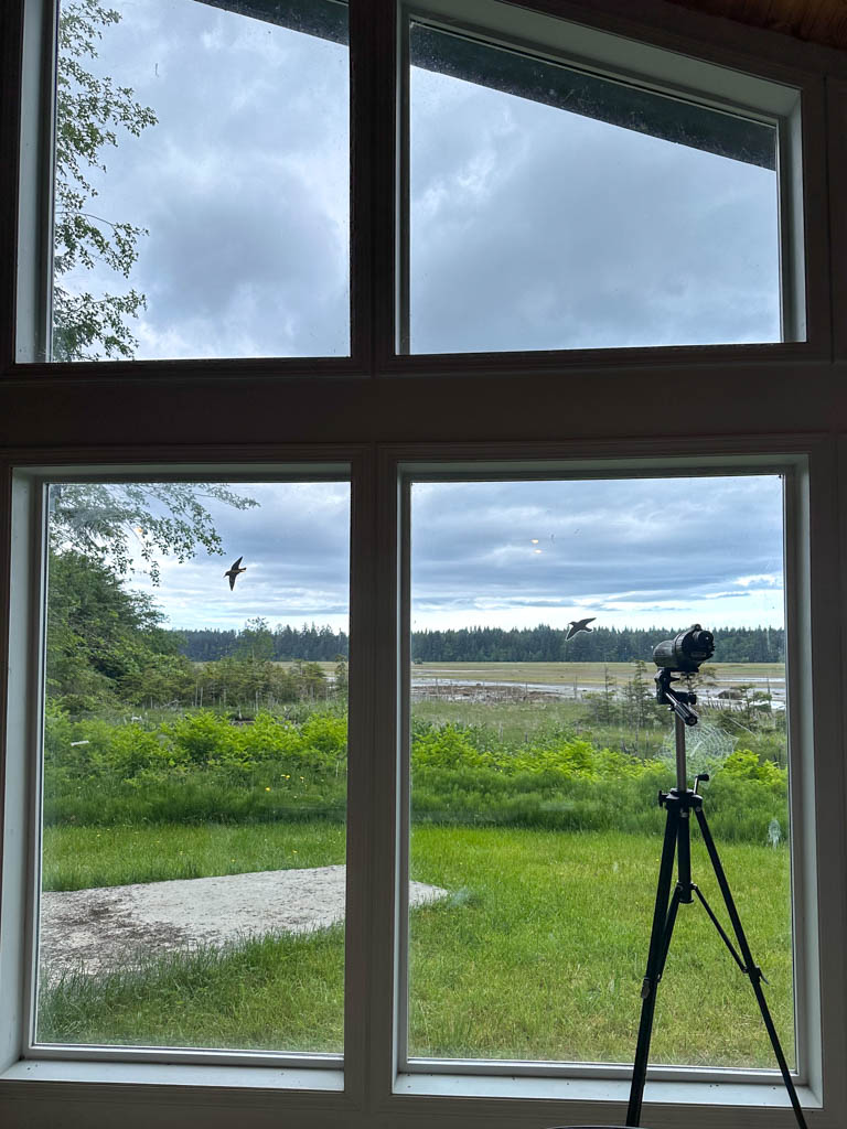 Looking through the window at the Delkatla Nature Centre