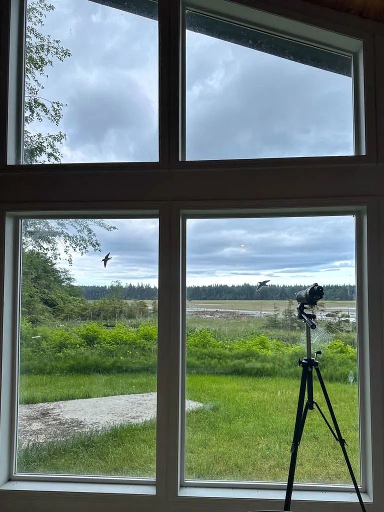 Looking through the window at the Delkatla Nature Centre