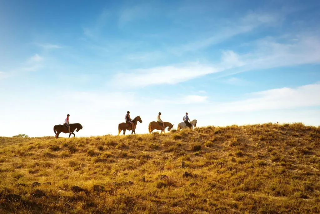 People riding horses in the desert