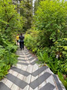 Boardwalks on the Spirit Lake Trail near Skidegate, BC