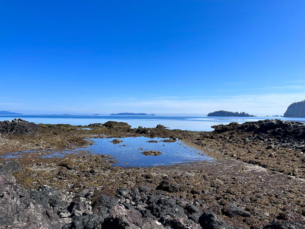 A Haida octopus farm at Tanu in Gwaii Hanaas National Park