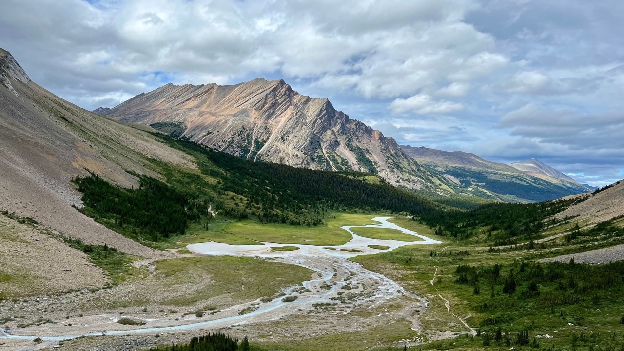 View along the Brazeau Loop in Jasper National Park