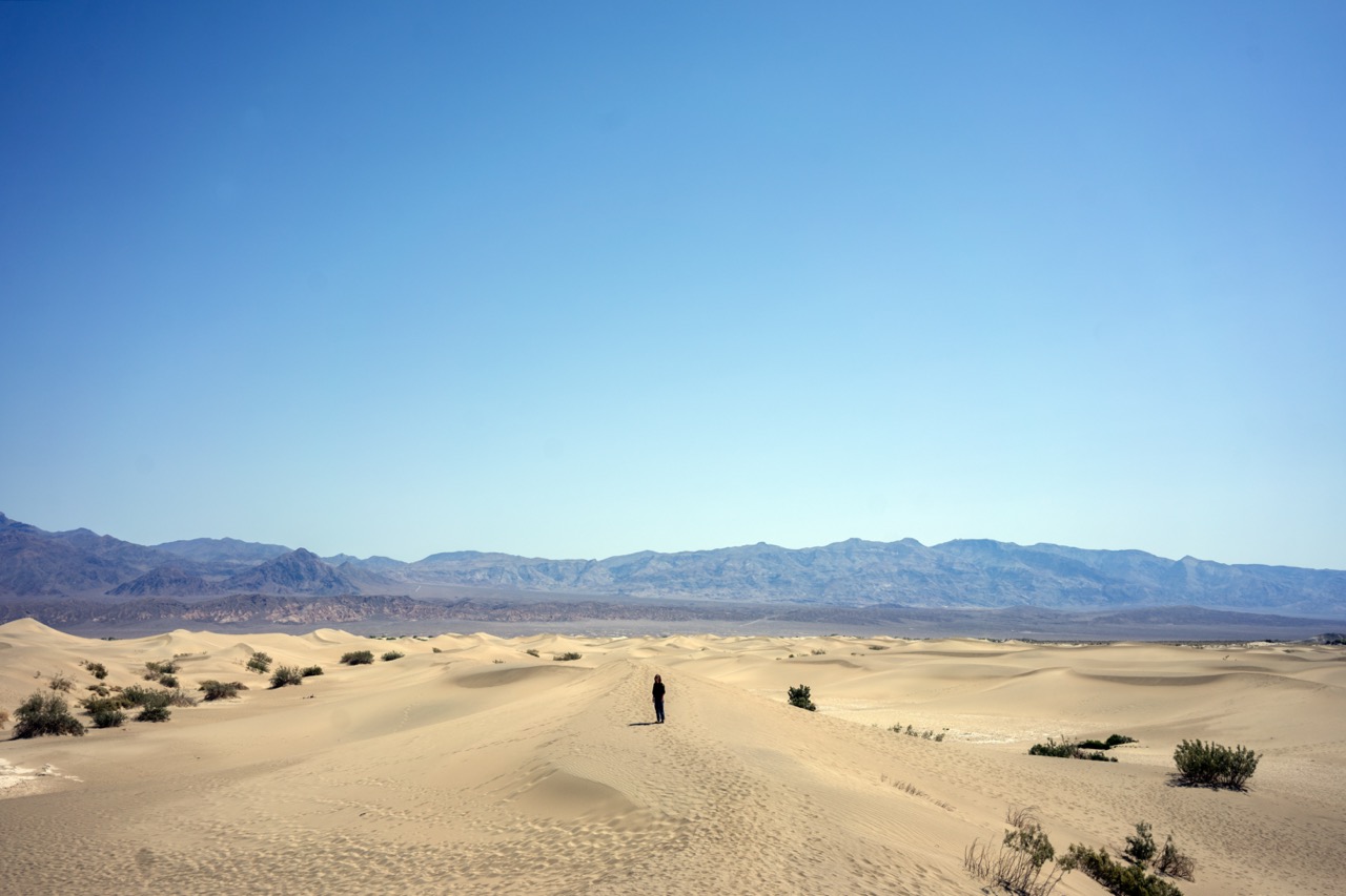 Mesquite Dunes in Death Valley National Park
