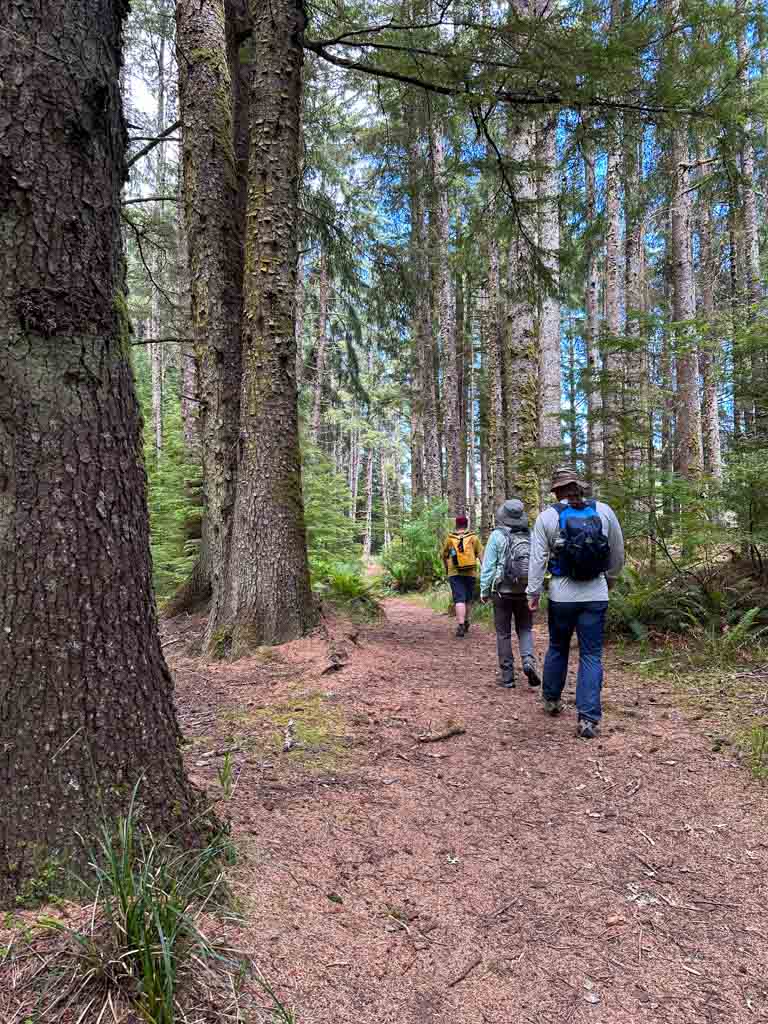 Hikers walk through the forest on Haida Gwaii